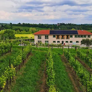 tenuta-mani-sagge.hotelinveneto.com/